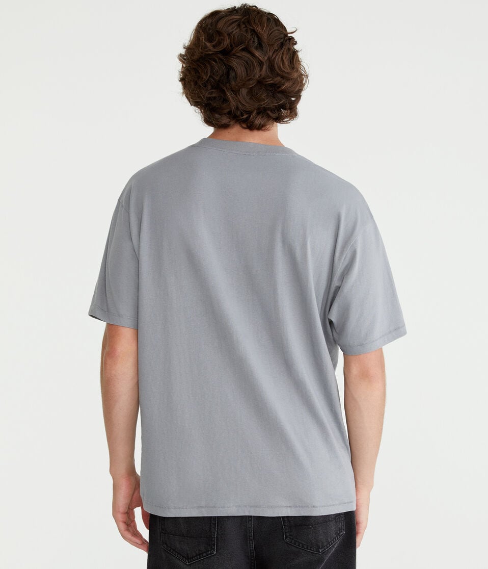 Aéropostale GLOBAL CITIZEN® Future Voter Graphic Tee Dark Chocolate