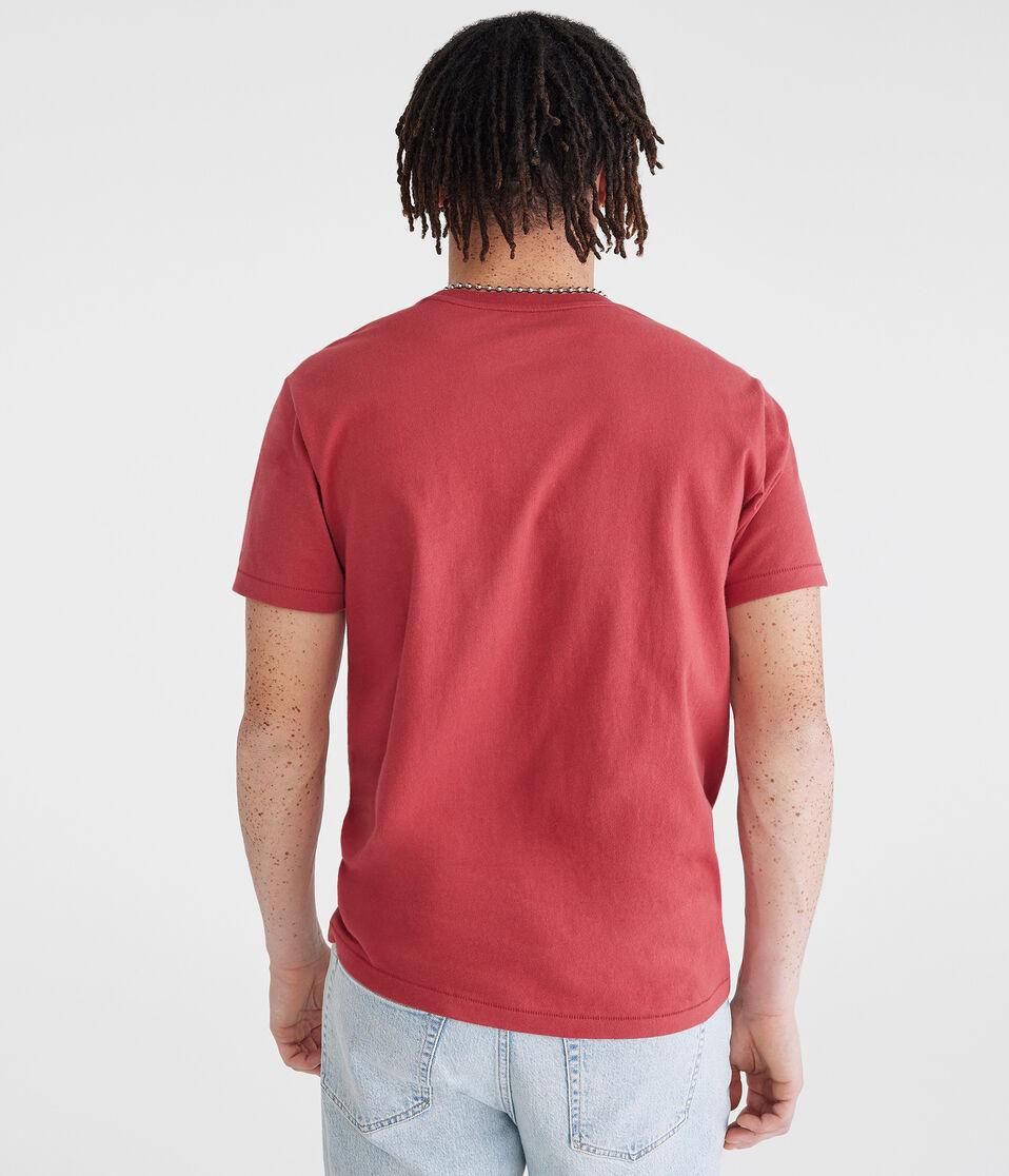 Aéropostale New York 87 Appliqué Graphic Tee Tawny Port