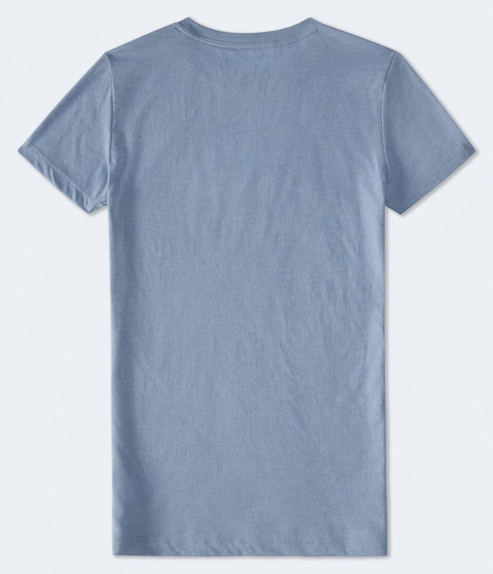 Aéropostale New York Aero Butterflies Flocked Graphic Tee Blue Wish