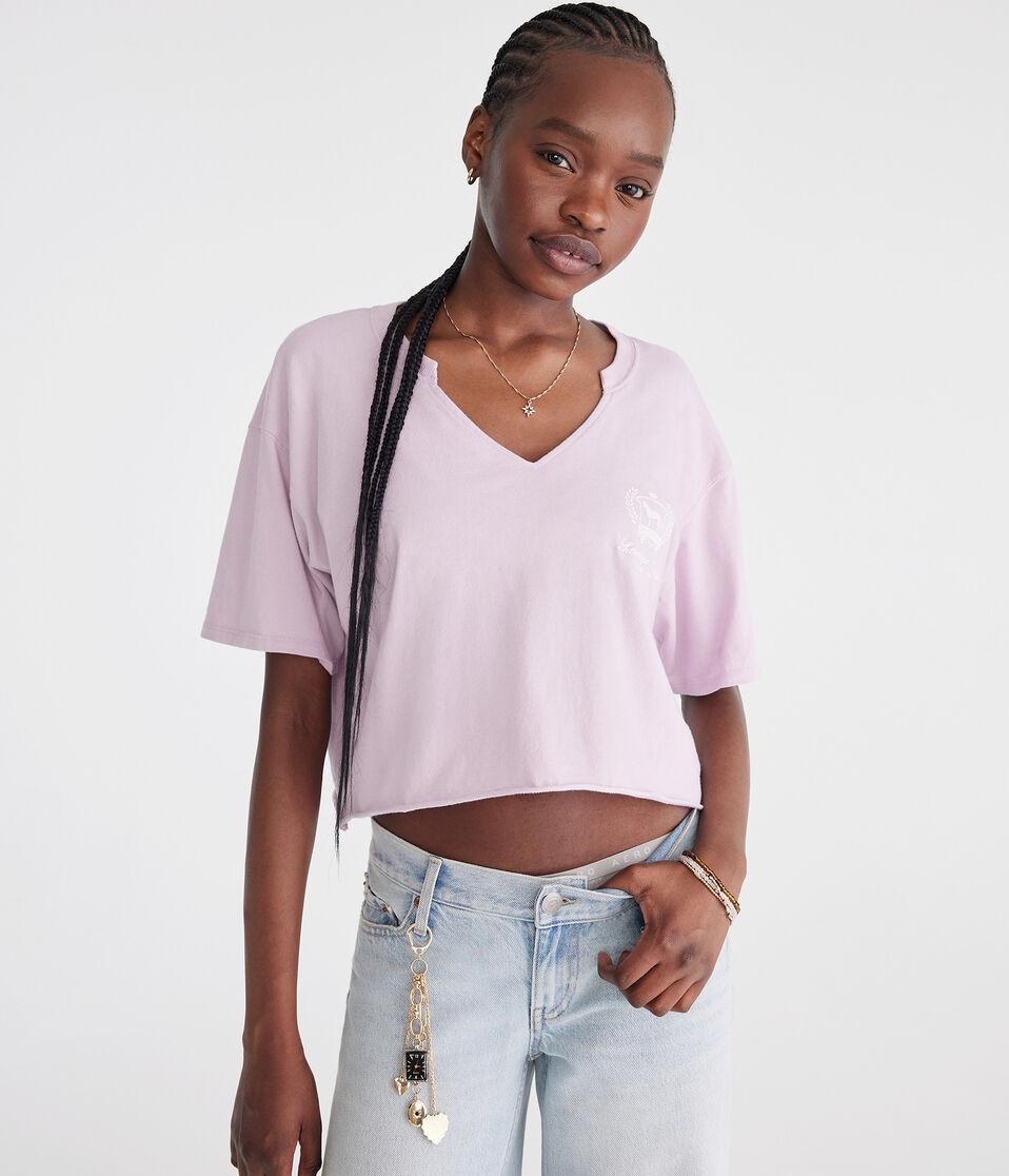 Aéropostale Saratoga Springs Notch-Neck Boyfriend Graphic Tee Orchid Ice