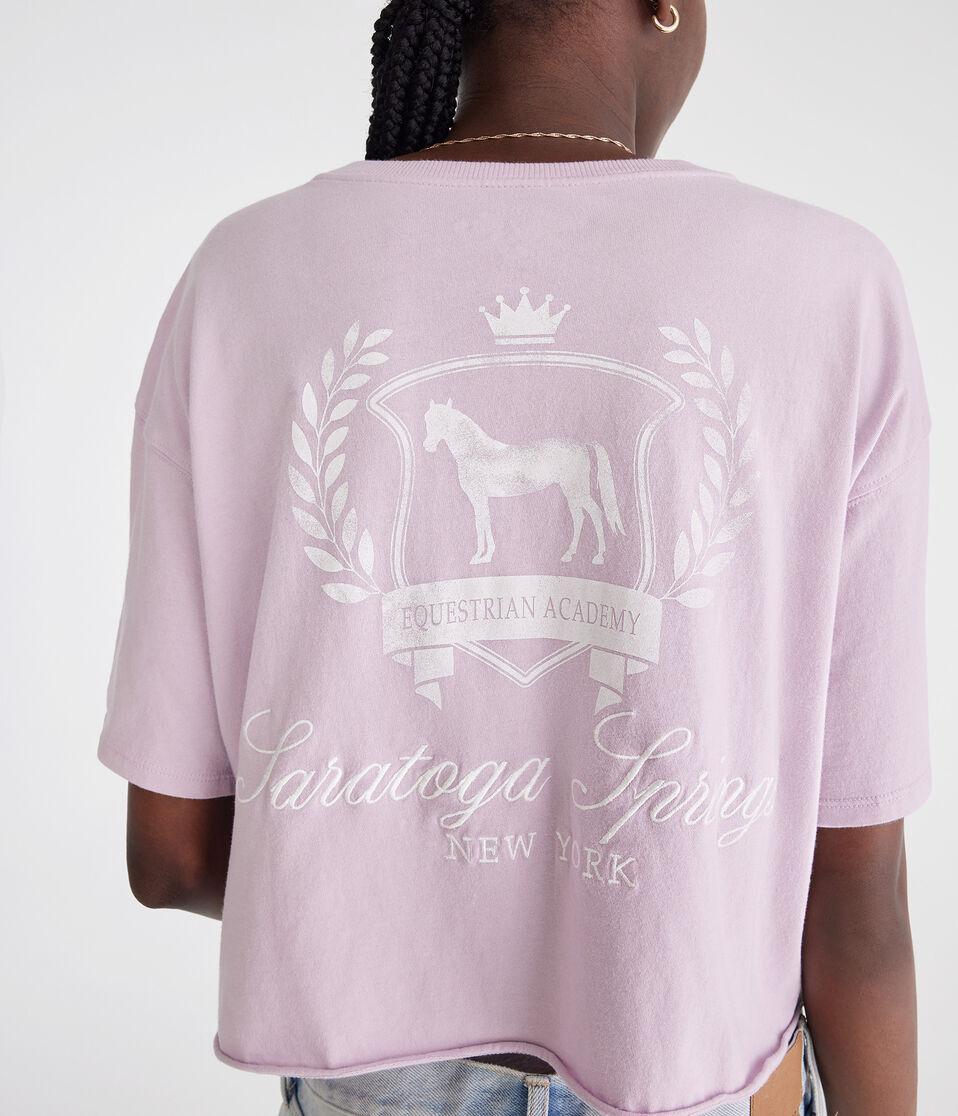 Aéropostale Saratoga Springs Notch-Neck Boyfriend Graphic Tee Orchid Ice