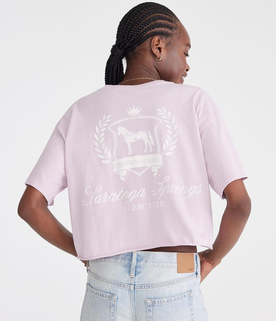 aéropostale Saratoga Springs Notch-Neck Boyfriend Graphic Tee orchid ice