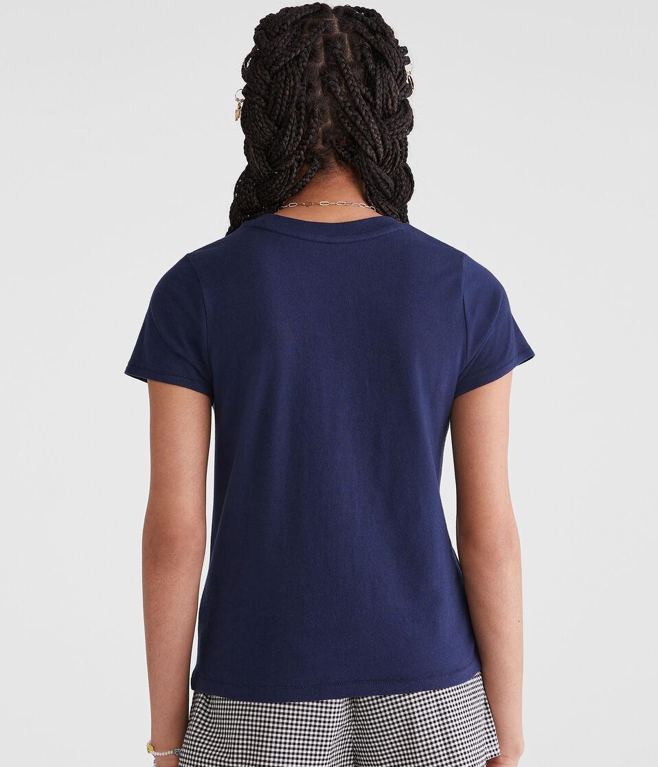 Aéropostale Seriously Soft USA Vintage Fit Graphic Tee Hazy Indigo