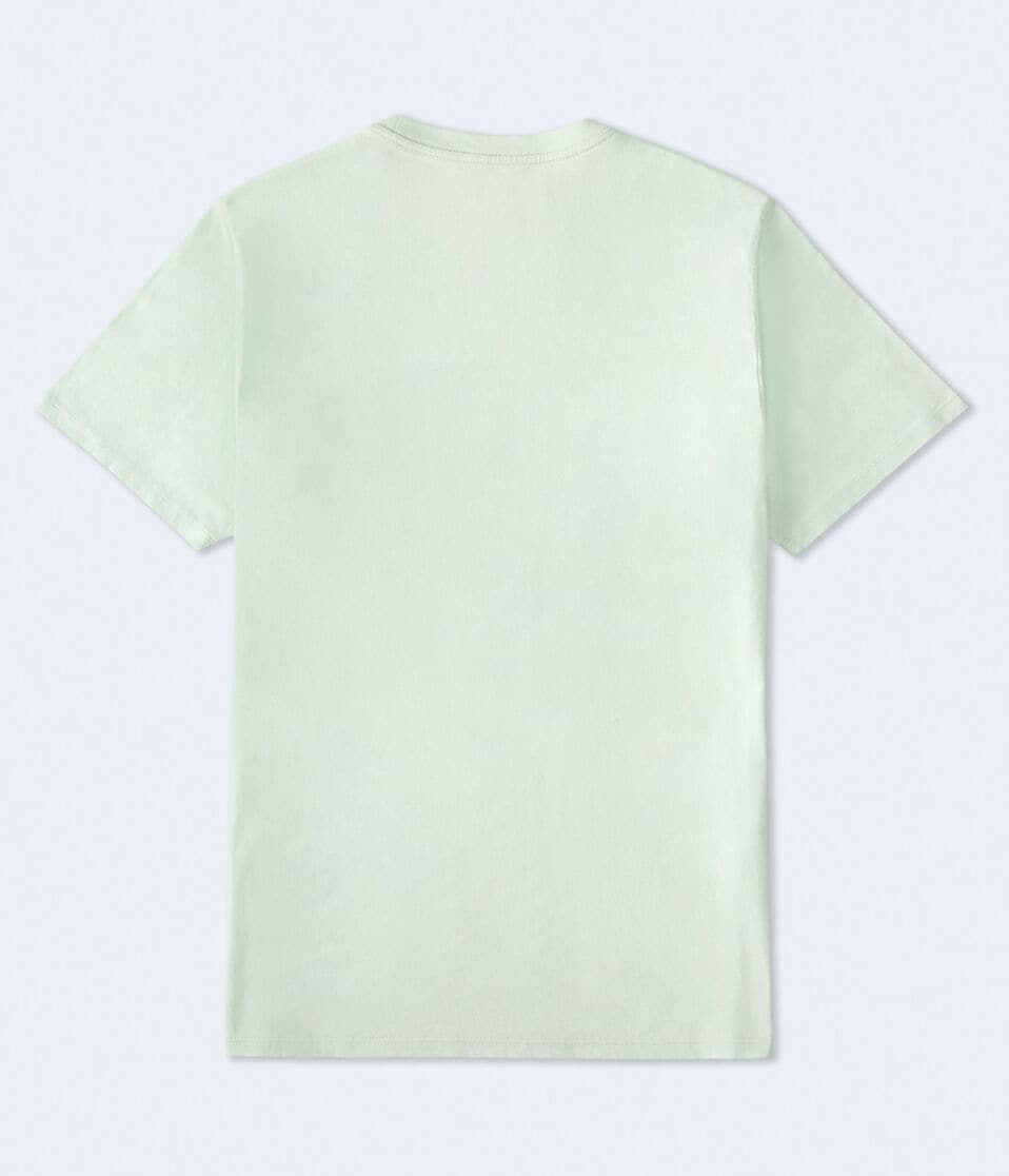Aéropostale SpongeBob Driver's License Relaxed Graphic Tee Green