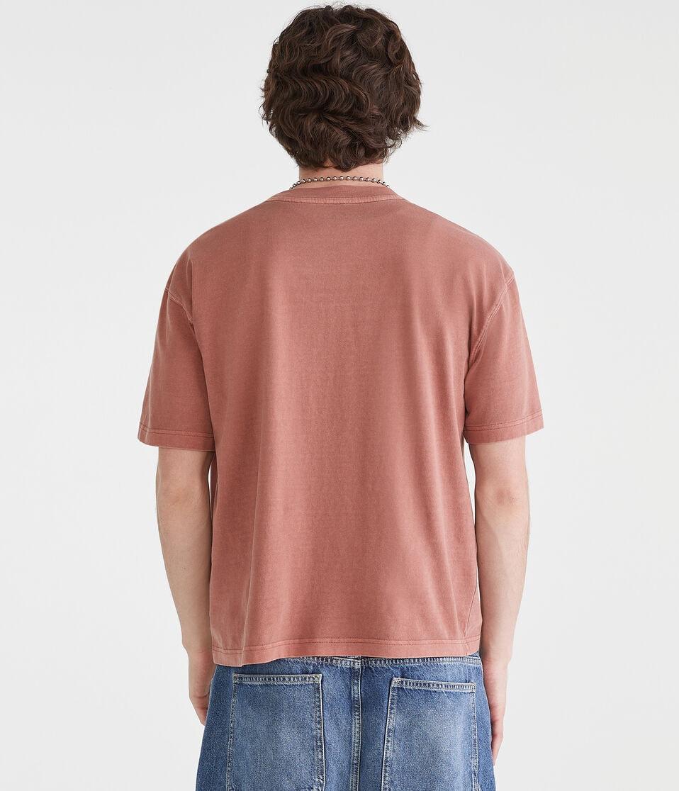 Aéropostale Washed Boxy Fit Crew Tee Dream Chocolate