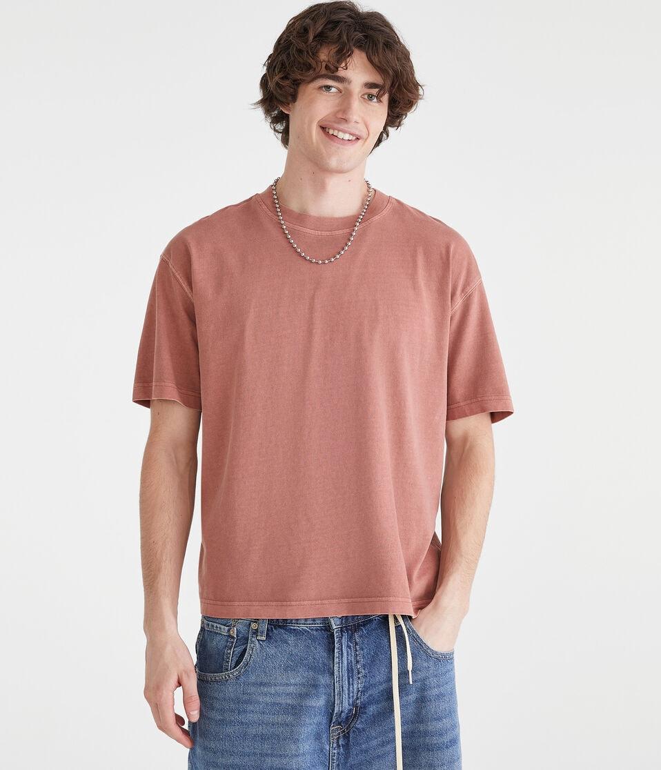 aéropostale Washed Boxy Fit Crew Tee dream chocolate