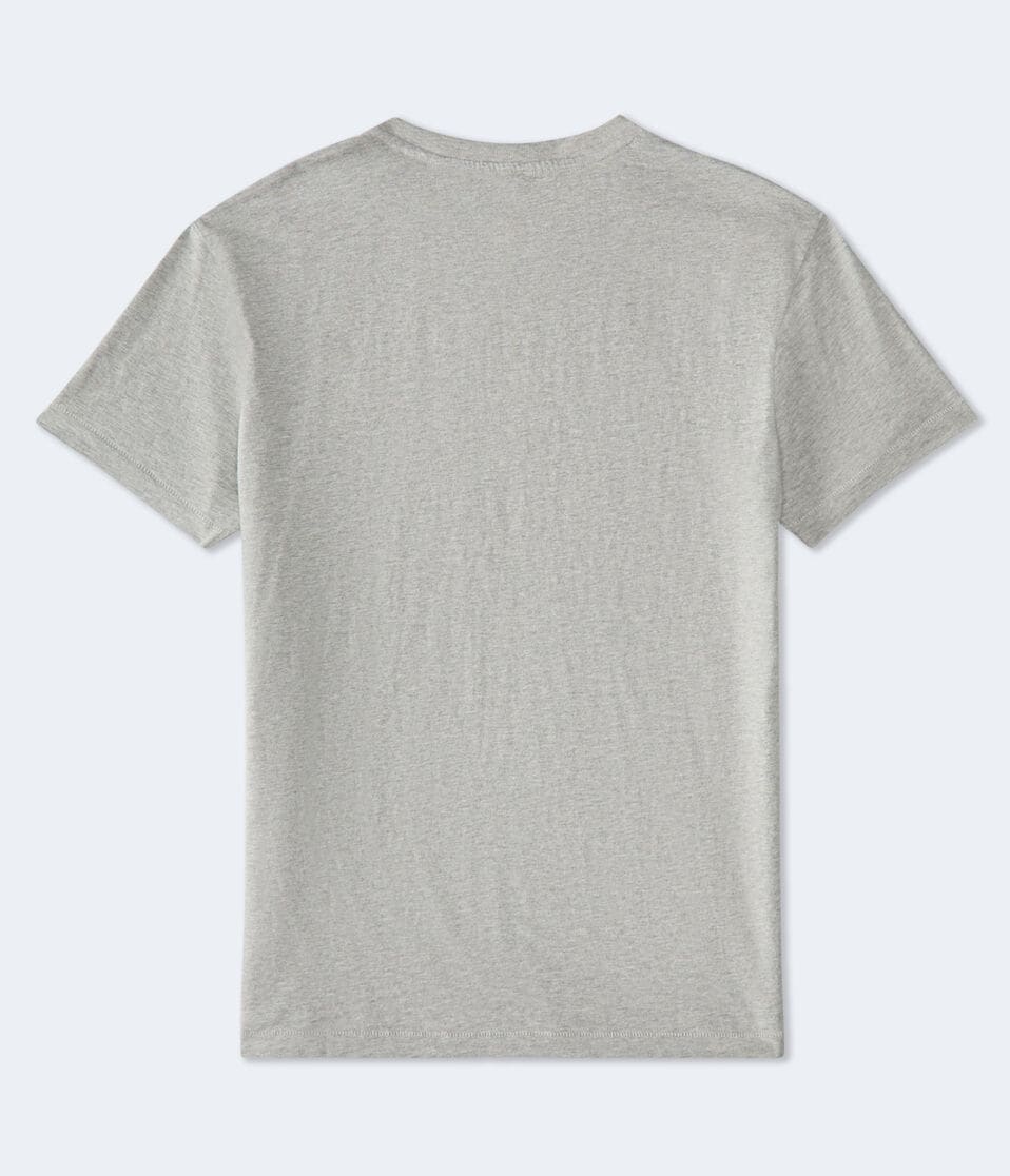 Aéropostale West Virginia 1987 Appliqué Graphic Tee Light Heather Grey