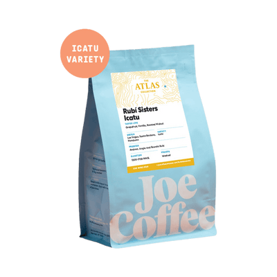 aeropress Rubi Sisters Icatu 12 oz