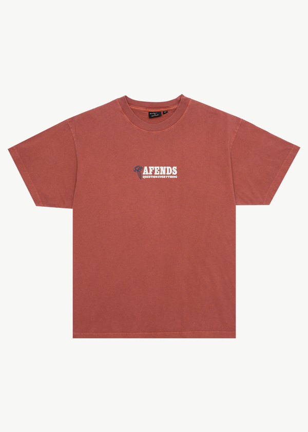 afends Nuts N Bolts - Heavyweight Boxy Tee Terra