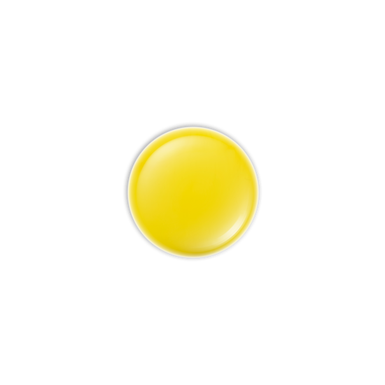 Aila Cosmetics Pinecuporn