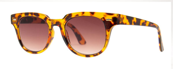 aj morgan Classic Unisex Square Sunglasses for Men and Women / 88543 Chumps