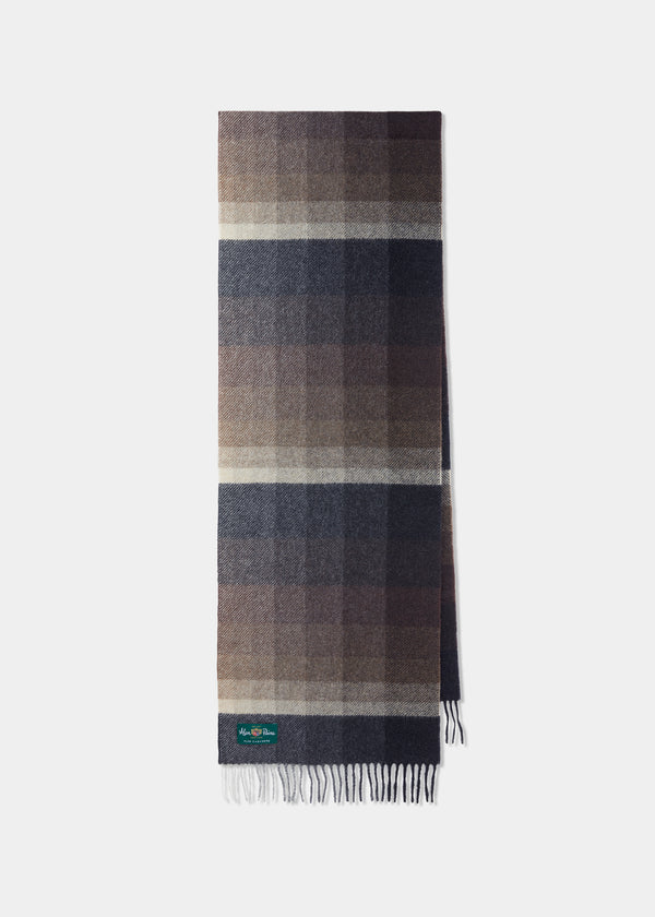 alan paine Bradfield Faded Stripe Scarf in Brown