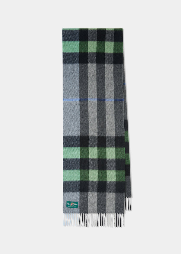 alan paine Cashmere Off-Set Check Scarf In Green