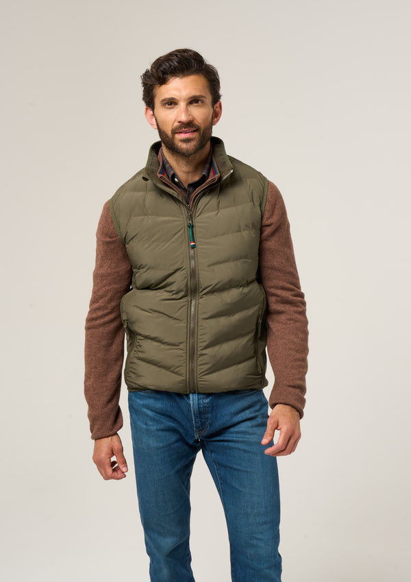Alan Paine Calsall Men's Hybrid Gilet In Olive - Regular Fit