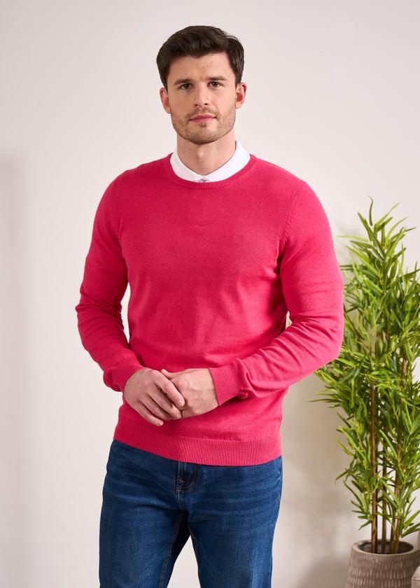Alan Paine Leysmill Cotton Cashmere Jumper In Raspberry