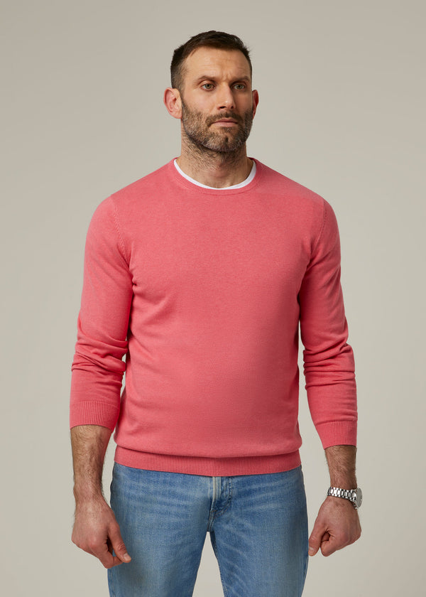 Alan Paine Leysmill Cotton Cashmere Jumper In Swizzle