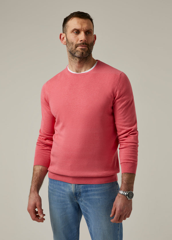 Alan Paine Leysmill Cotton Cashmere Jumper In Swizzle