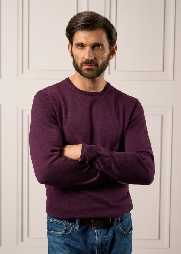 Alan Paine Radstone Men's Merino Wool Jumper In Black Grape - Regular Fit