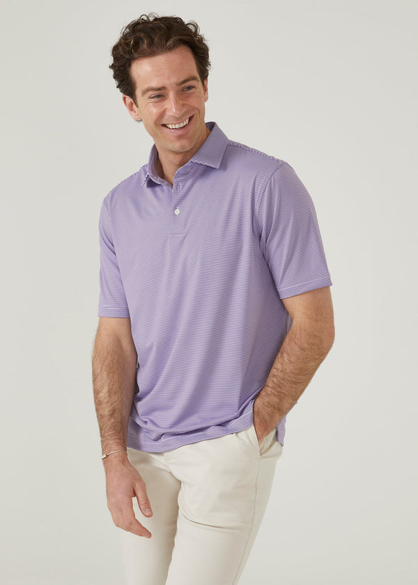 Alan Paine Waterbeach Striped Polo Shirt In Plum - Sports Fit