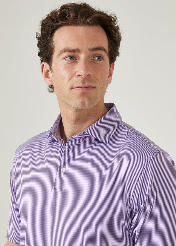 Alan Paine Waterbeach Striped Polo Shirt In Plum - Sports Fit