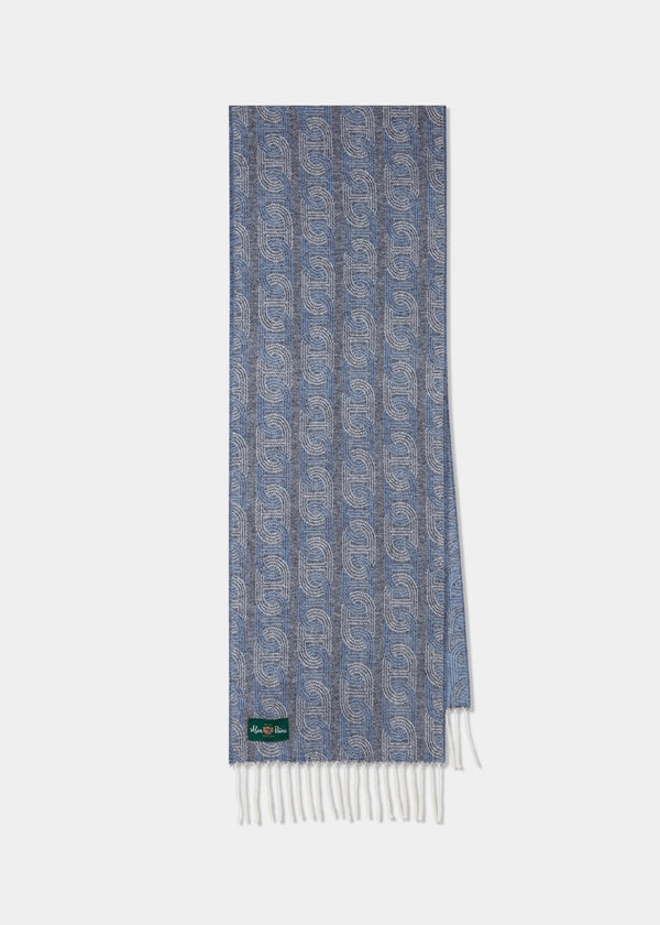 alan paine Wolvey Patterned Cashmere Scarf In Glacier