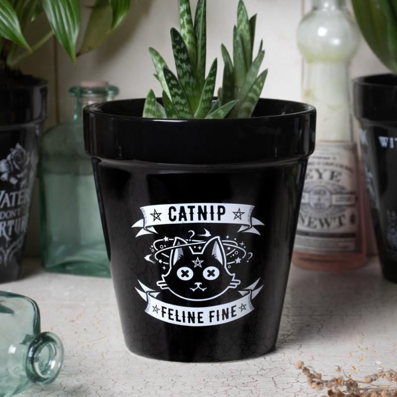 Alchemy England Catnip Plant Pot (GPP3)