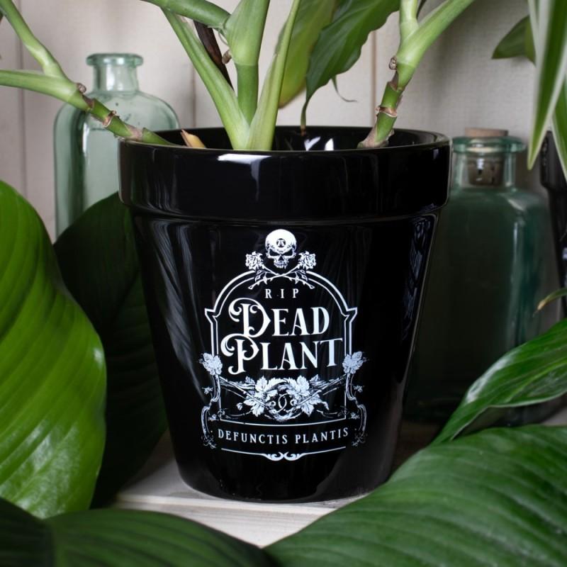 Alchemy England Dead Plant Plant Pot (GPP7)