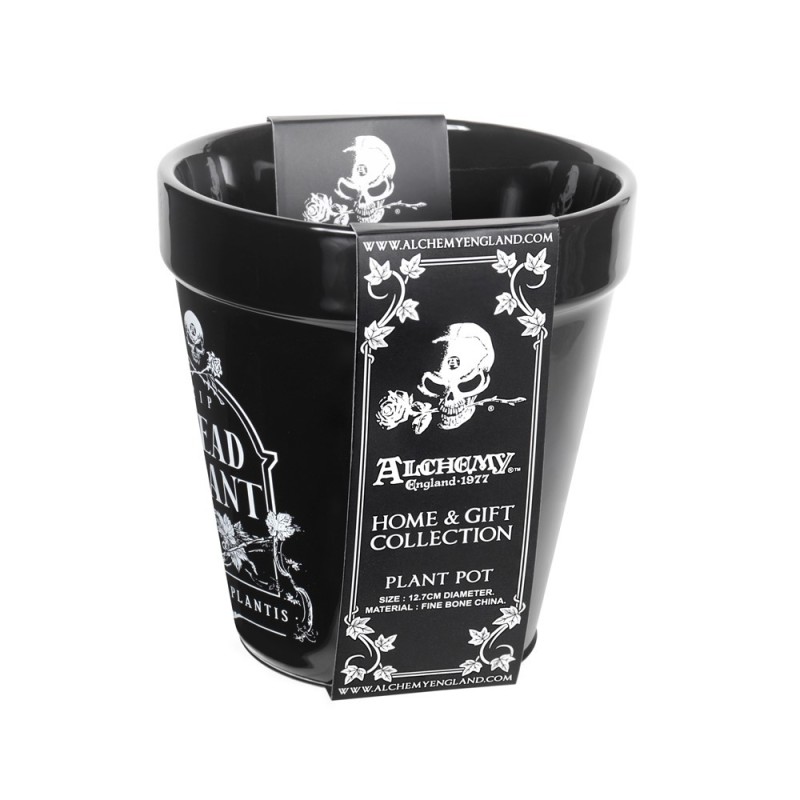 Alchemy England Dead Plant Plant Pot (GPP7)