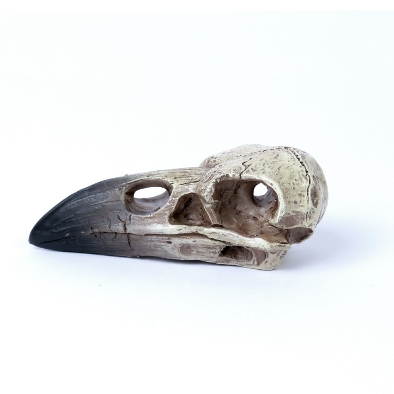 Alchemy England Reliquary Raven Skull (V66)