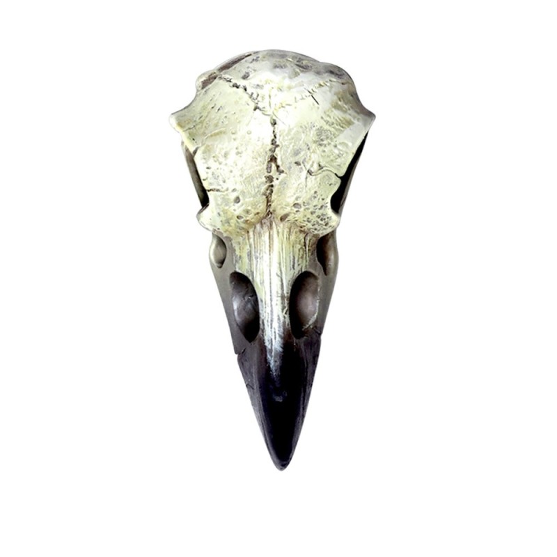 alchemy england Reliquary Raven Skull (V66)