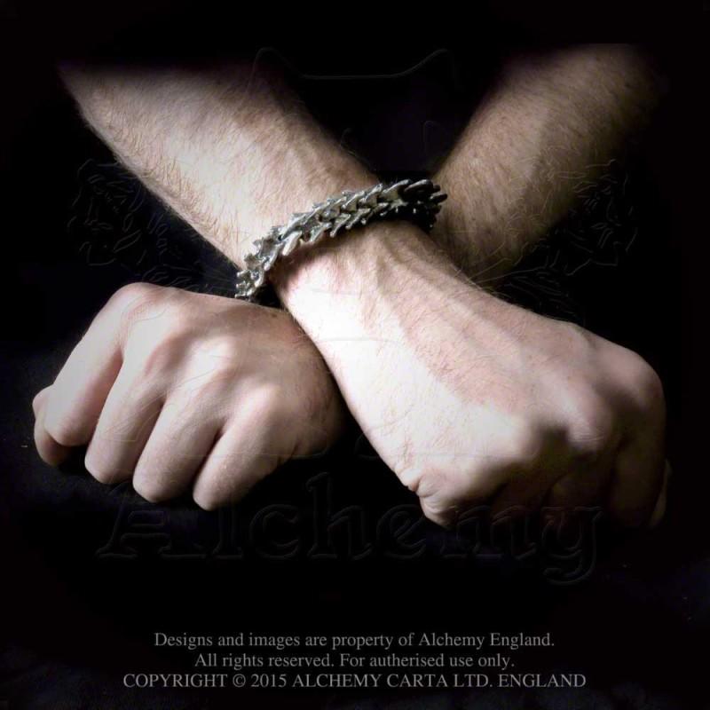 Alchemy England Vertebrae (A29)