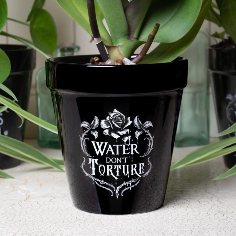 Alchemy England Water Don't Torture Plant Pot (GPP4)