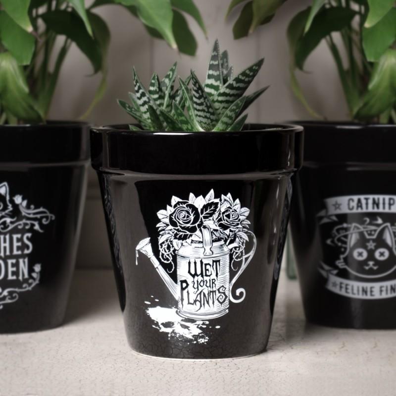 Alchemy England Wet Your Plants Plant Pot (GPP5)