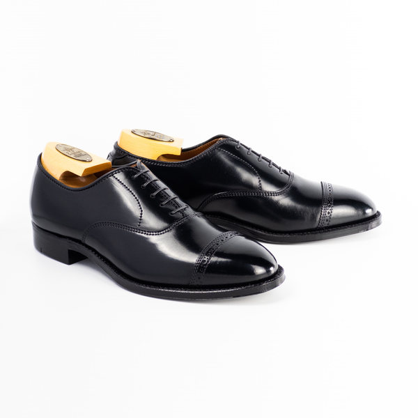 Alden 9016 Perf Tip Bal Oxford (Black Shell Cordovan)