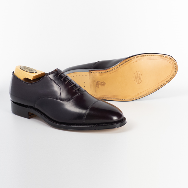 Alden 9070 Straight Tip Bal Oxford (Color 8 Shell Cordovan)