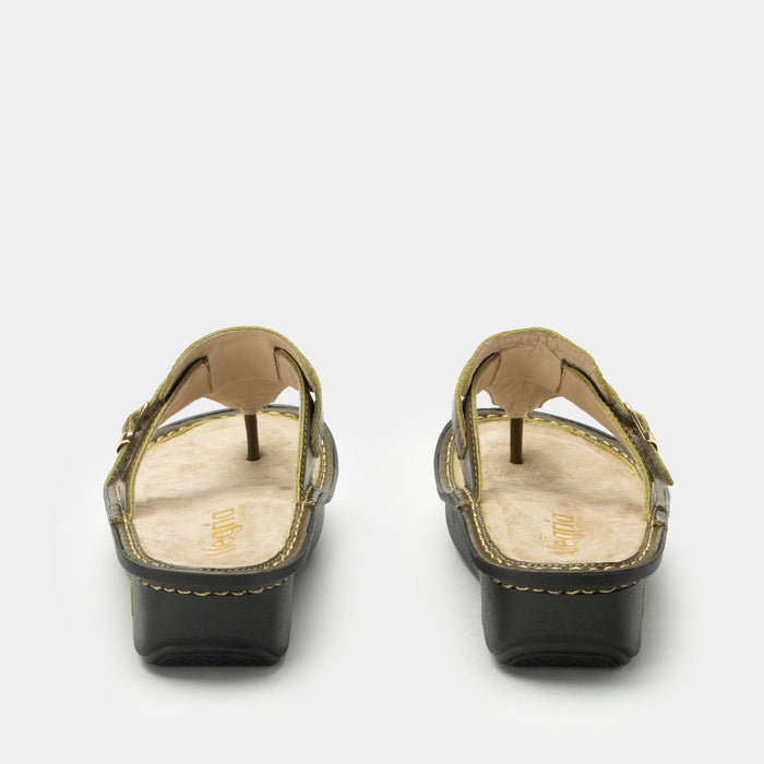 Alegria Kennedi Oliva Sandal