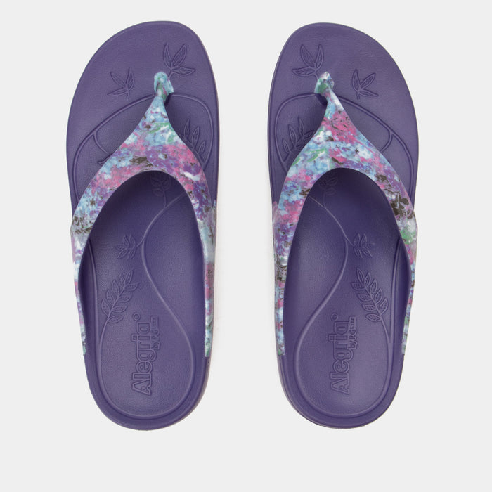 Alegria Ode Itchycoo Grey Sandal