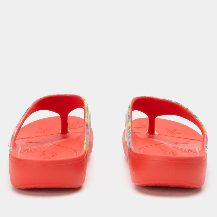 Alegria Ode Itchycoo Sandal