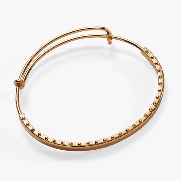 alex and ani Beaded Edge Decorative Charm Bangle