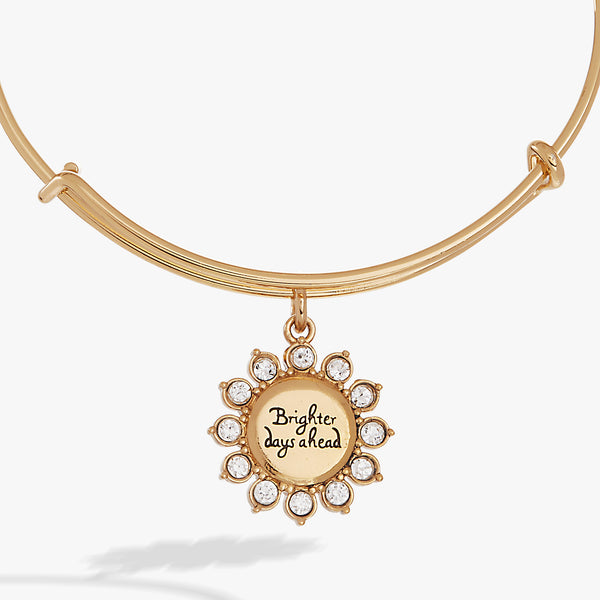 Alex And Ani Brighter Days Ahead Bangle