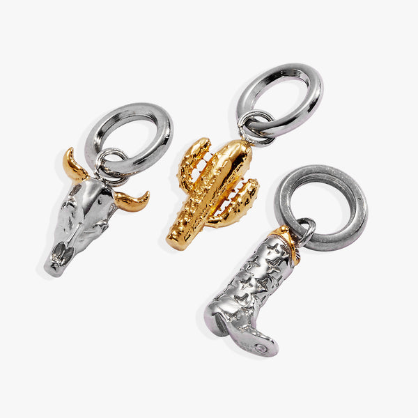 Alex And Ani Desert Vacation Mini Charm Set