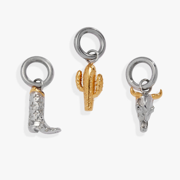 alex and ani Desert Vacation Mini Charm Set