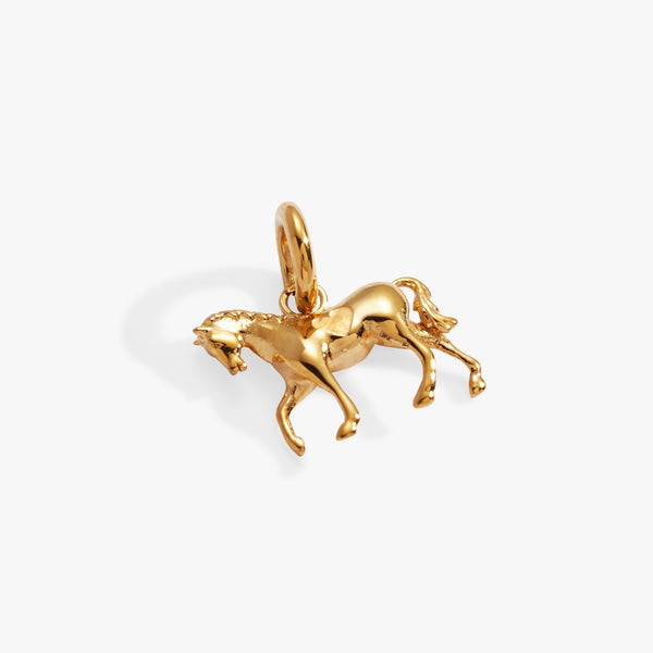 Alex And Ani Equestrian Interchangeable Charm