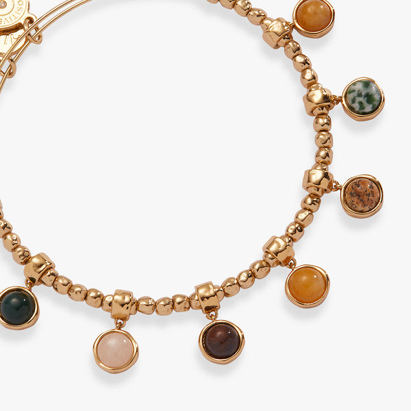 alex and ani Healing Stone Moveable Beaded Bangle