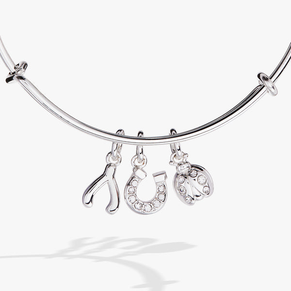 Alex And Ani Love And Luck Multi-Charm Bangle