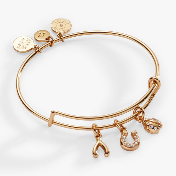 Alex And Ani Love And Luck Multi-Charm Bangle
