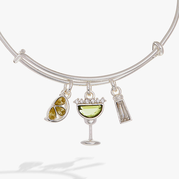 Alex And Ani Margarita Charm Bangle