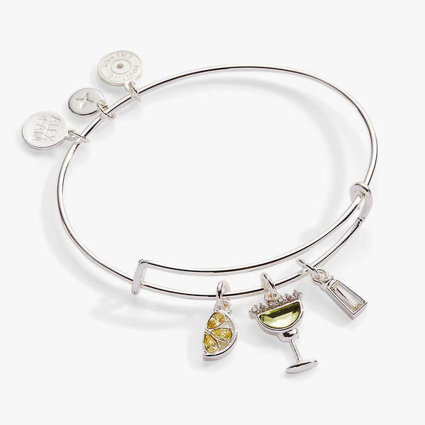 alex and ani Margarita Charm Bangle