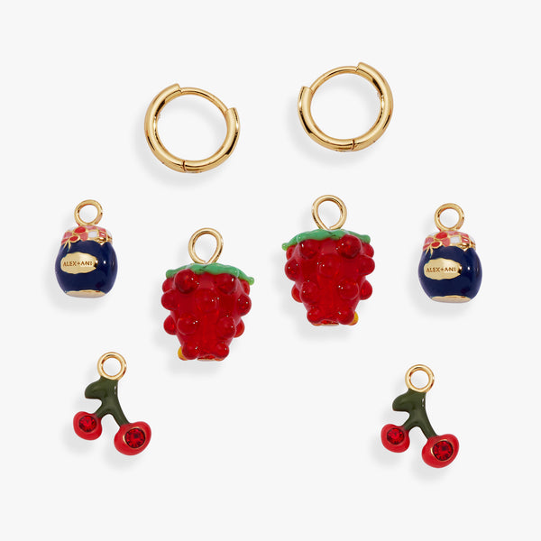 alex and ani Picnic Interchangeable Huggie Set