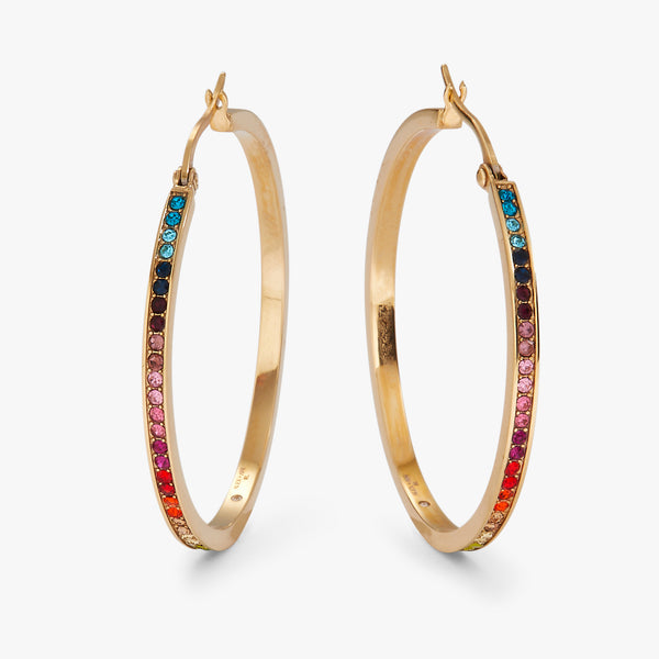 alex and ani Rainbow Ombre Pave Hoop